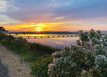 cape cod